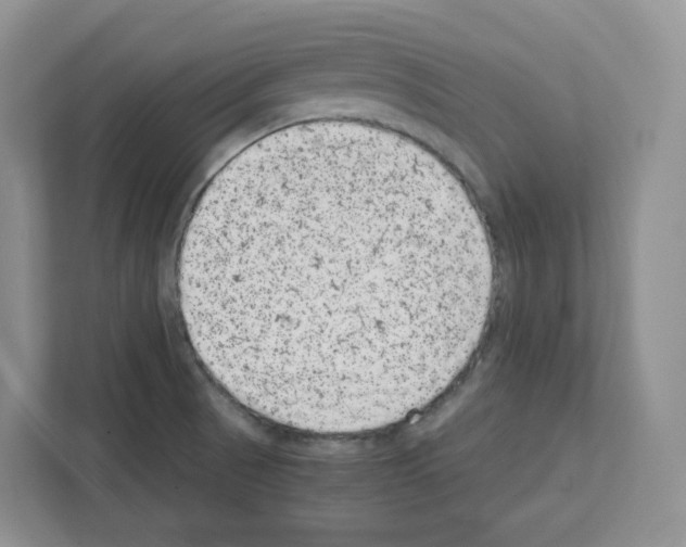 X0000111661521200908281059