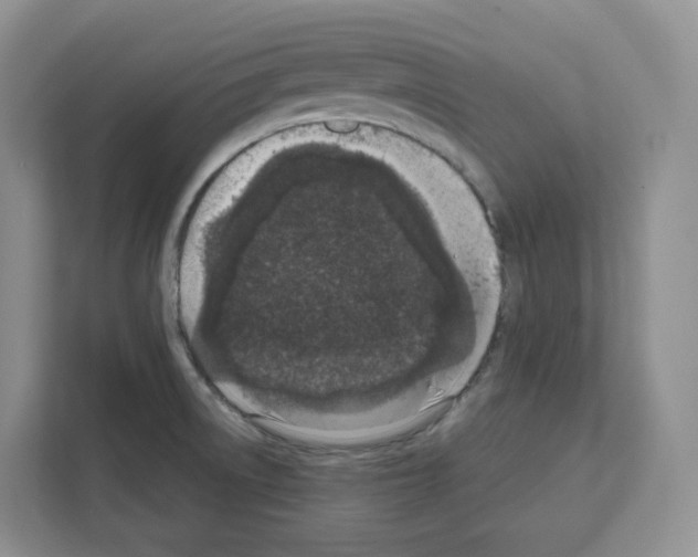 X0000111661522200908281059