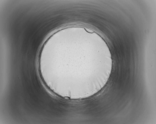 X0000111661523200908281059