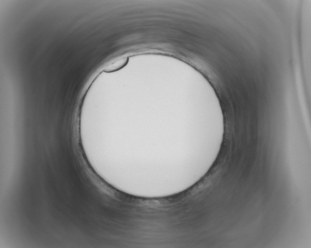 X0000111661524200908281059