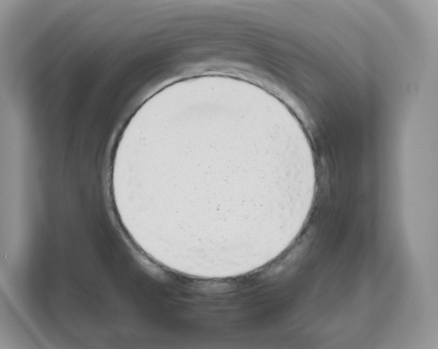 X0000111661525200908281059