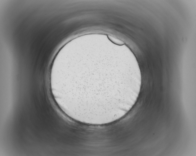 X0000111661526200908281059