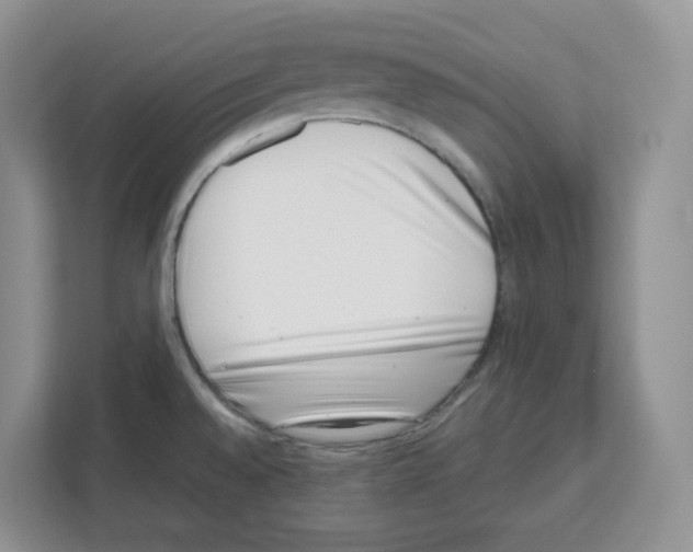 X0000111661528200908281059