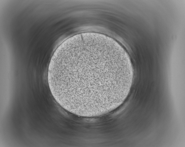 X0000111661529200908281059