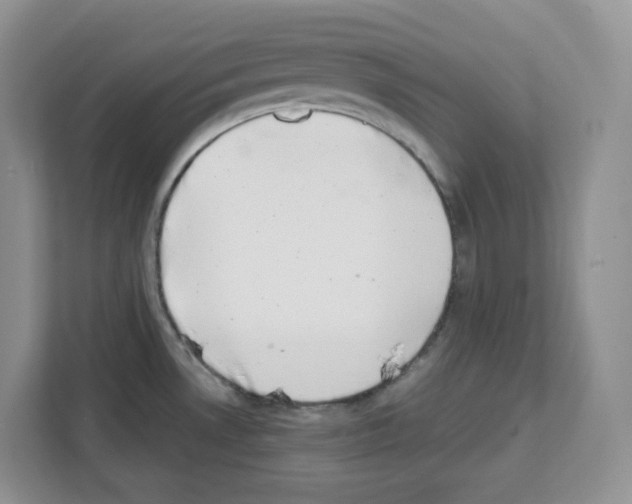 X0000111661530200908281059