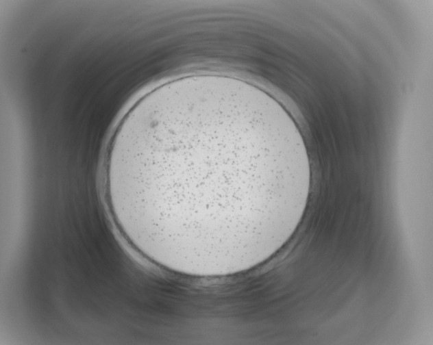 X0000111661531200908281059