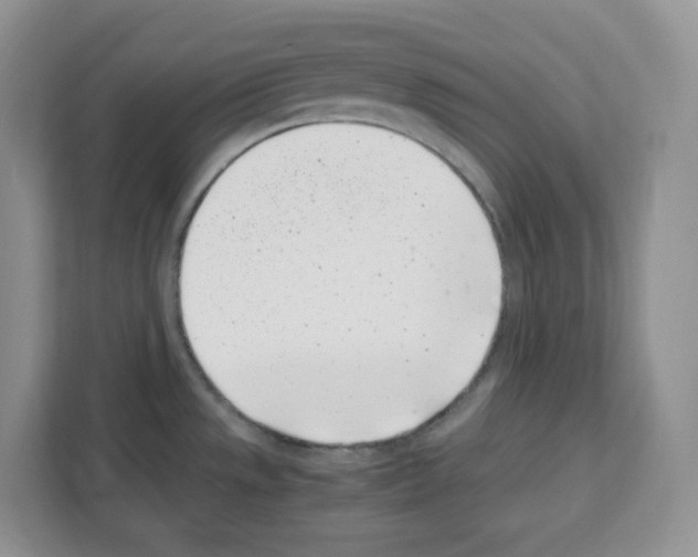 X0000111661533200908281059