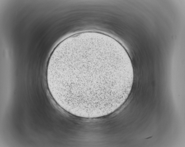 X0000111661534200908281059