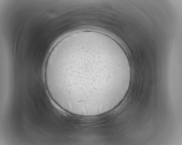 X0000111661535200908281059