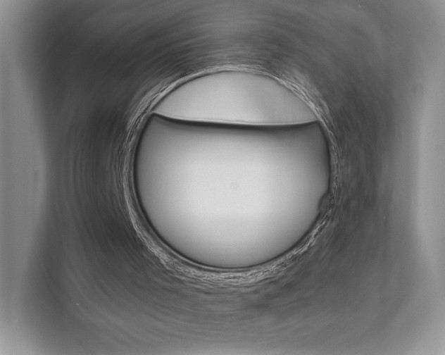 X0000111670001200907171453