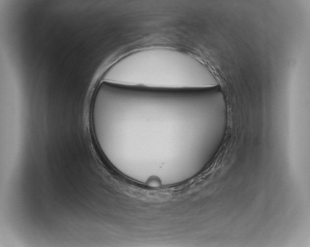 X0000111670004200907171453