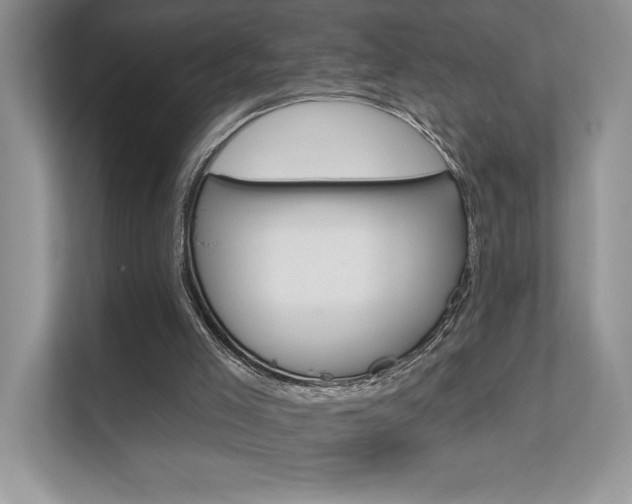 X0000111670005200907171453