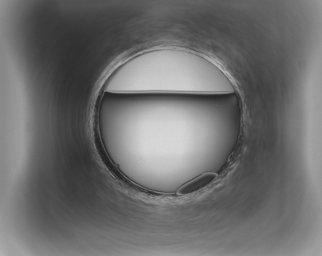 X0000111670007200907171453