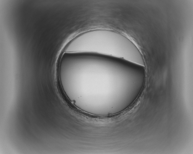 X0000111670008200907171453
