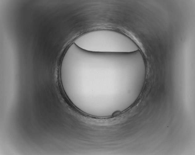 X0000111670010200907171453