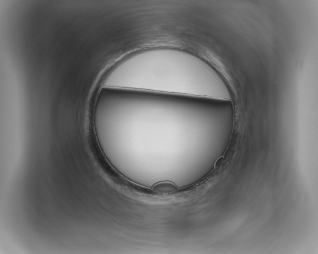 X0000111670012200907171453
