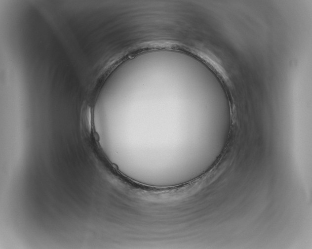 X0000111670013200907171453