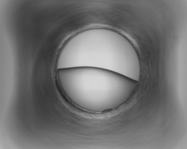 X0000111670015200907171453