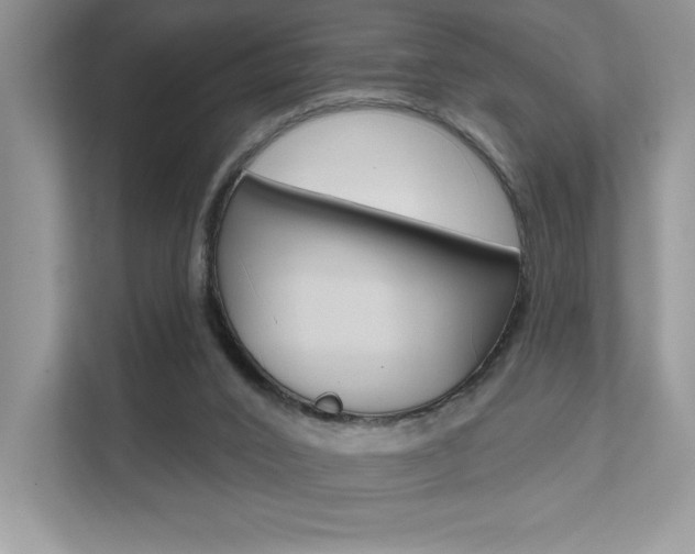 X0000111670016200907171453