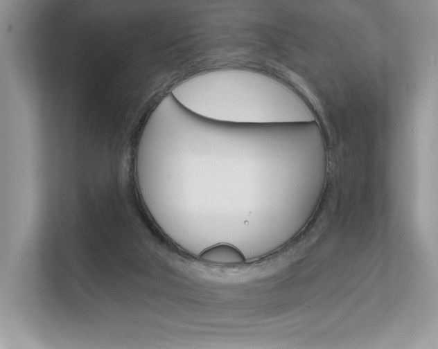 X0000111670018200907171453