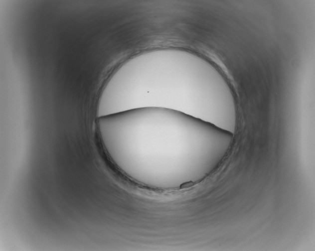 X0000111670019200907171453