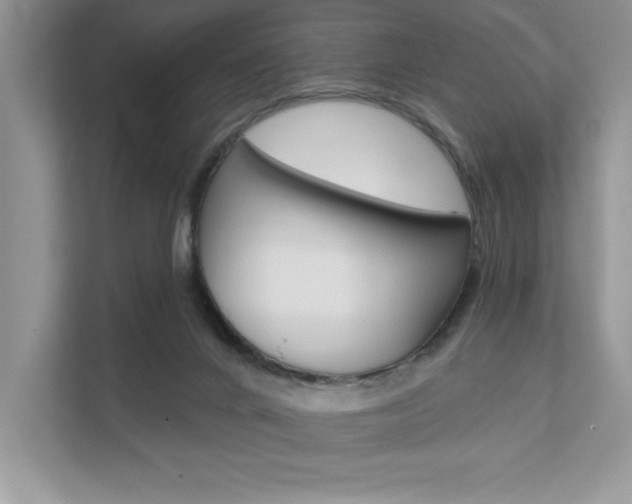 X0000111670024200907171453