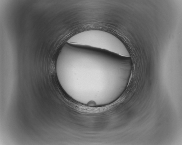 X0000111670048200907171453
