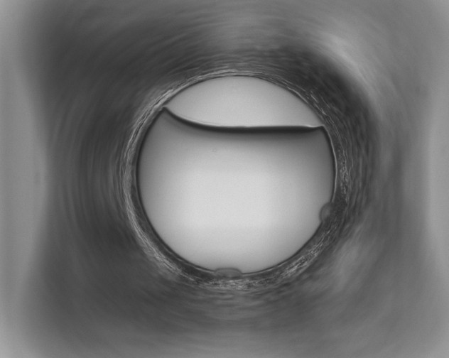 X0000111670049200907171452