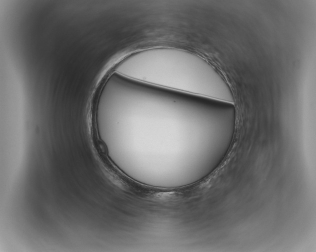 X0000111670054200907171452