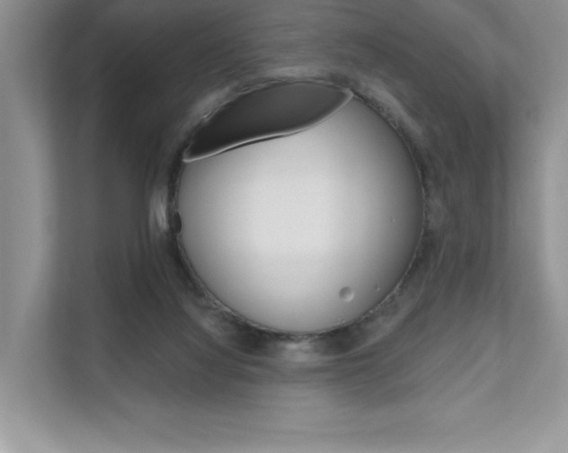 X0000111670068200907171452