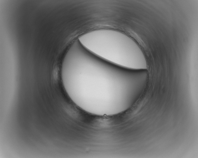 X0000111670071200907171453