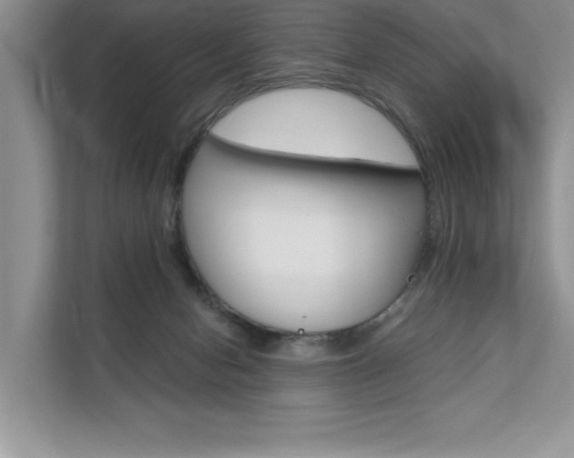 X0000111670078200907171453