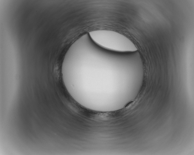 X0000111670086200907171453
