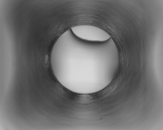 X0000111670087200907171453