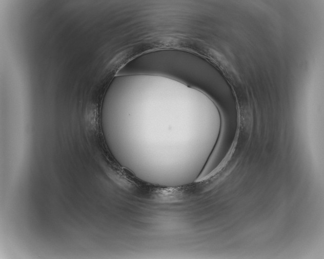 X0000111670092200907171453