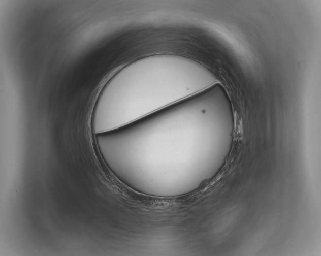 X0000111670099200907171452