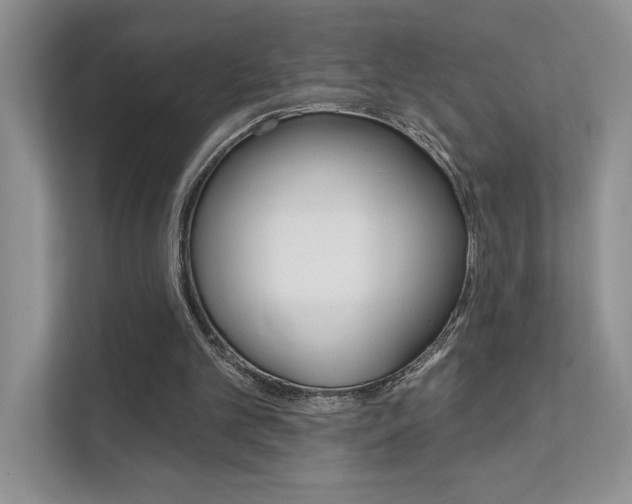 X0000111670101200907171452