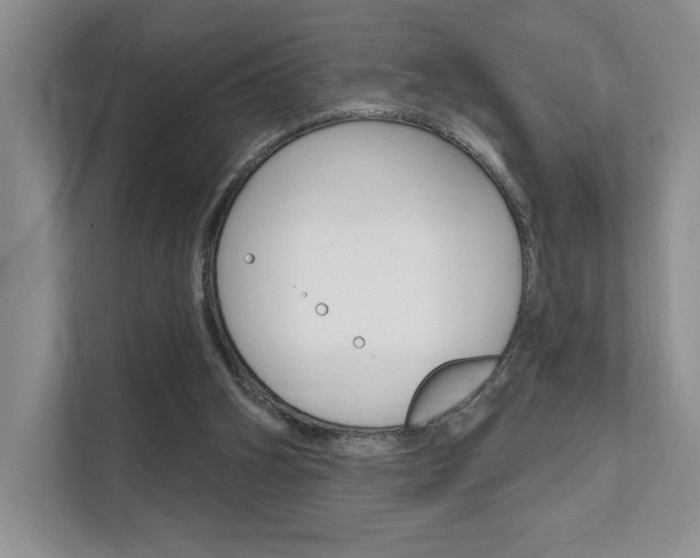 X0000111670106200907171452