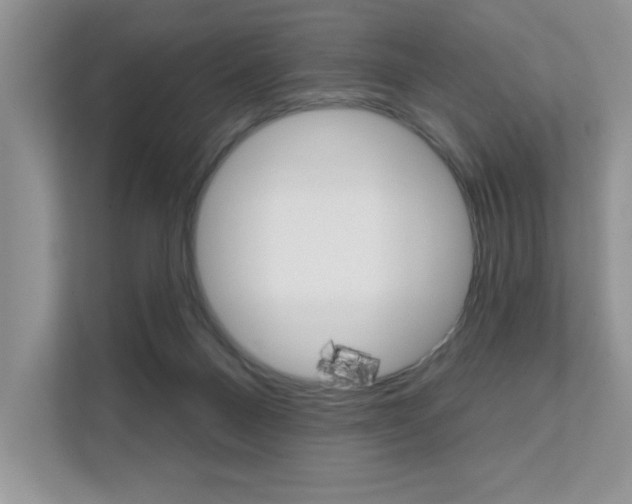 X0000111670120200907171452