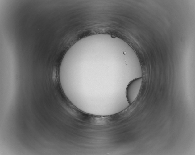 X0000111670134200907171452