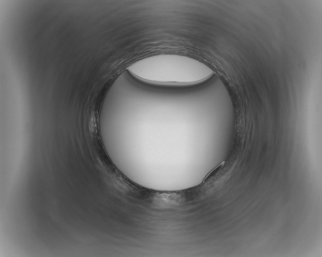 X0000111670137200907171452