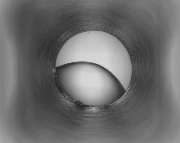 X0000111670140200907171452