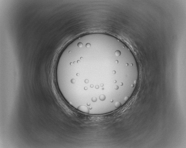 X0000111670145200907171451