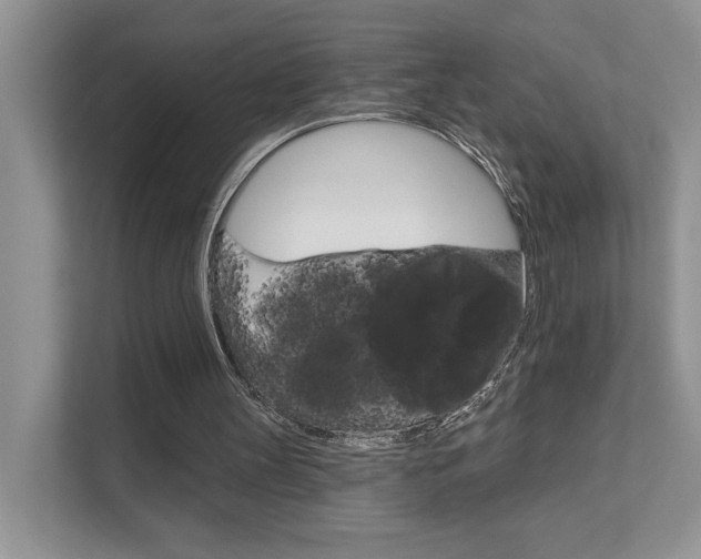 X0000111670147200907171451