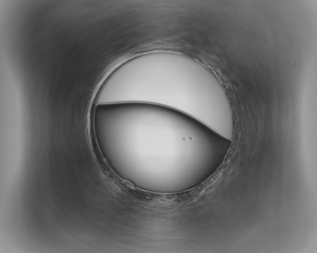 X0000111670148200907171451