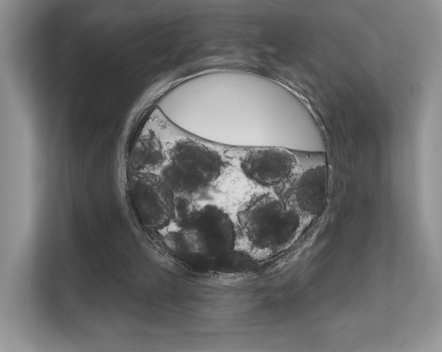 X0000111670149200907171451