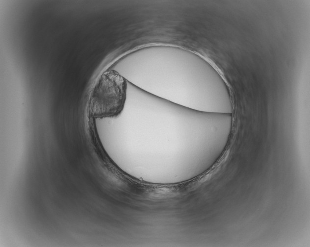 X0000111670151200907171451