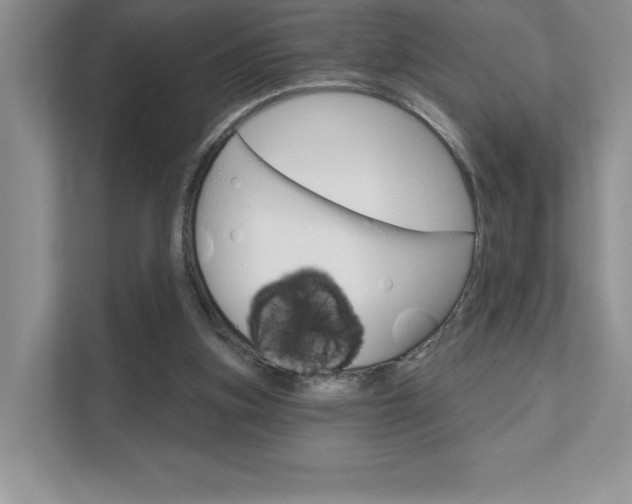 X0000111670155200907171451