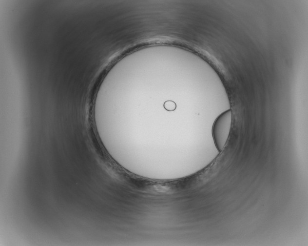 X0000111670159200907171451
