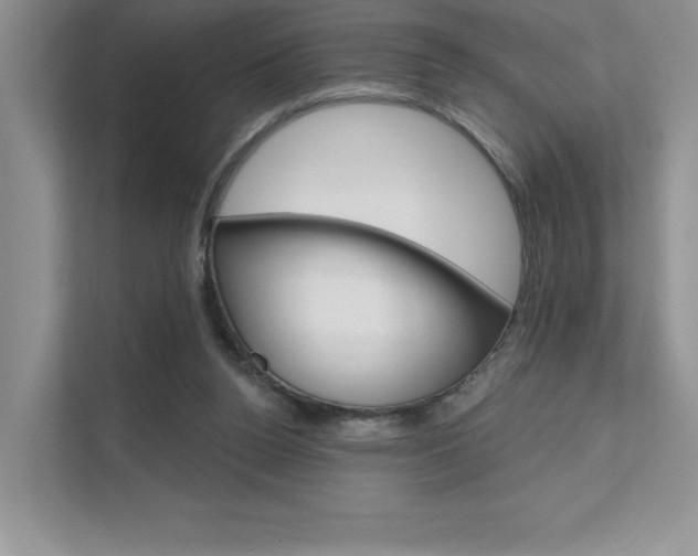 X0000111670160200907171451
